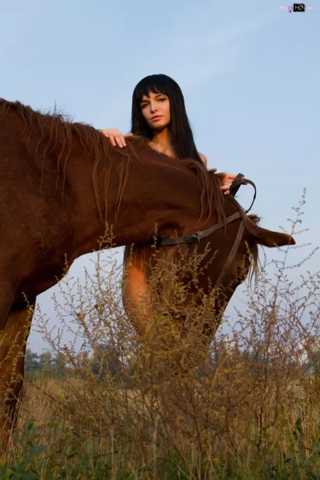 Летний денек на ранчо